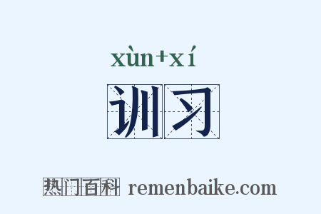 训习是什么意思的图片